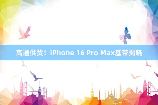 高通供货！iPhone 16 Pro Max基带揭晓