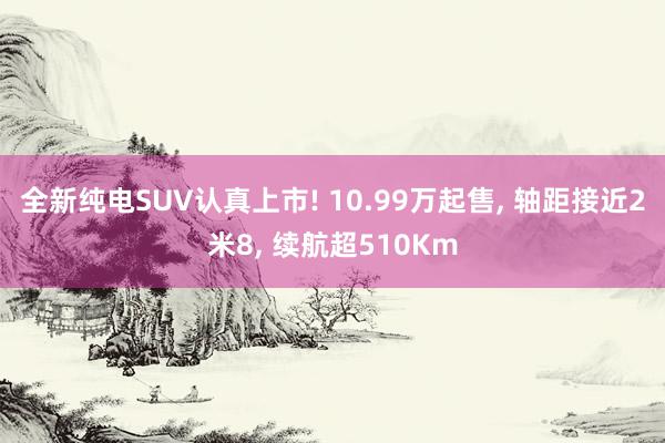 全新纯电SUV认真上市! 10.99万起售, 轴距接近2米8, 续航超510Km