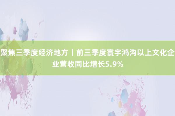 聚焦三季度经济地方丨前三季度寰宇鸿沟以上文化企业营收同比增长5.9%